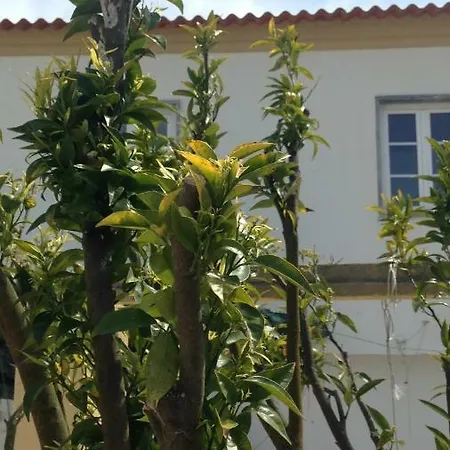 Casa Da Adega, Sobral بيت للعطل Sobral do Parelhao