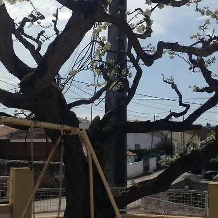 Casa Da Adega, Sobral بيت للعطل Sobral do Parelhao