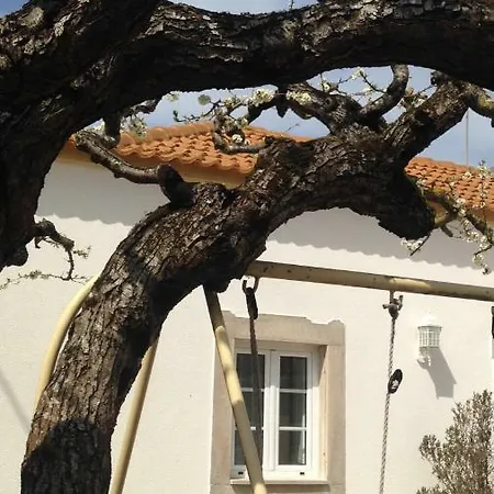 Casa Da Adega, Sobral بيت للعطل *