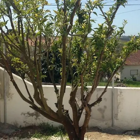 Casa Da Adega, Sobral *