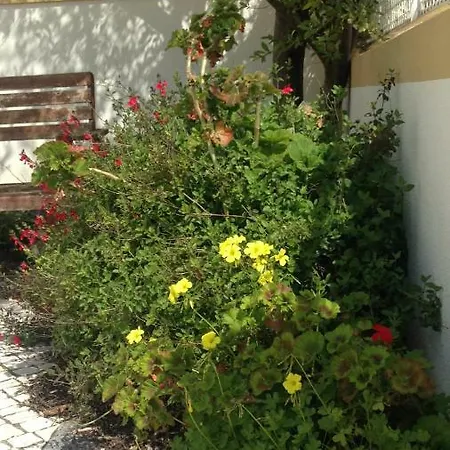 Casa Da Adega, Sobral * Sobral do Parelhao